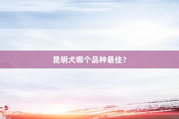 昆明犬哪个品种最佳？